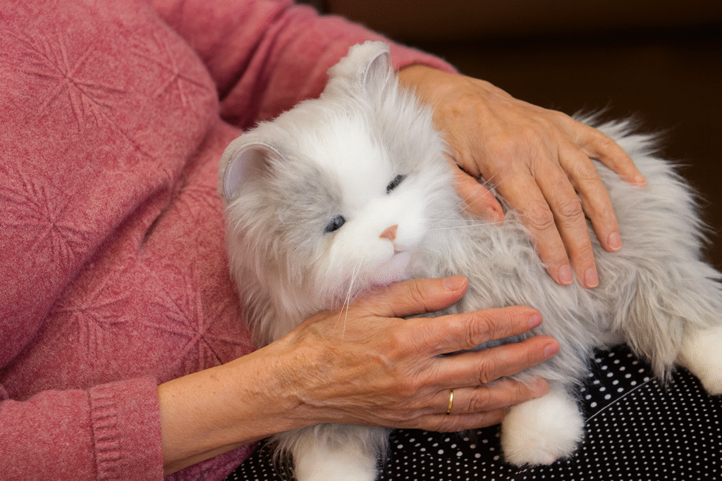 image 28. nov 2025, 20 50 09